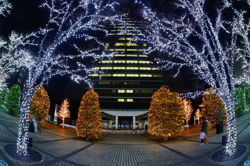 2015クリスマスイルミネーション＠京セラ - デジタルな鍛冶屋の写真歩記
