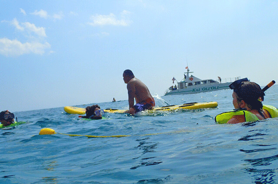 e0020214_1032182.gif