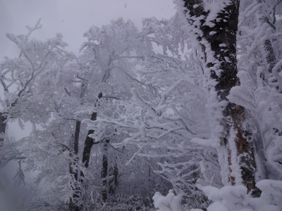 e0265627_148512.jpg