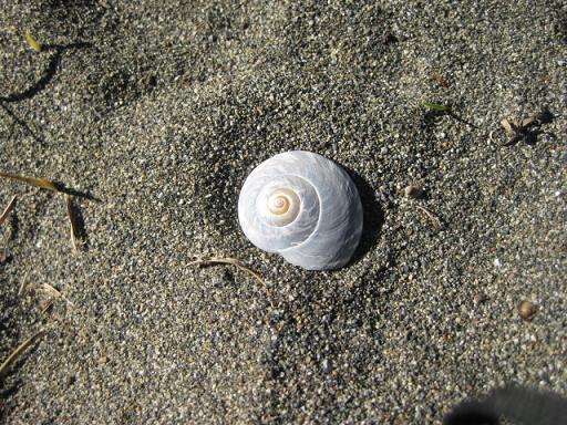 c0217931_11205917.jpg