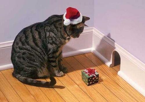 Merry X\'mas mil~☆_b0207642_21354576.jpg