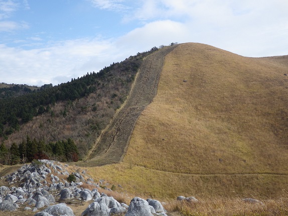 e0164643_14384429.jpg