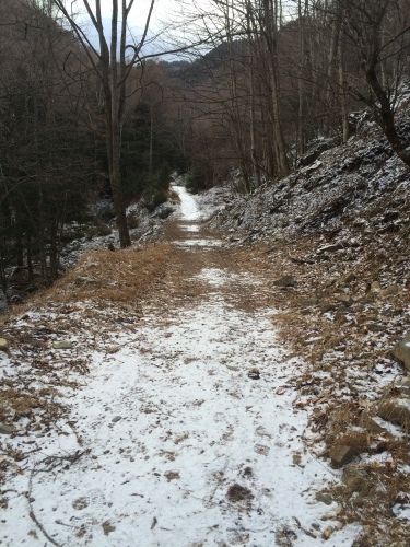 c0369344_12070383.jpeg