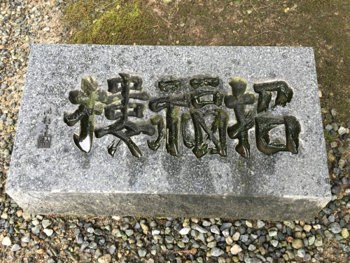 招福楼本店_e0292546_23072836.jpg