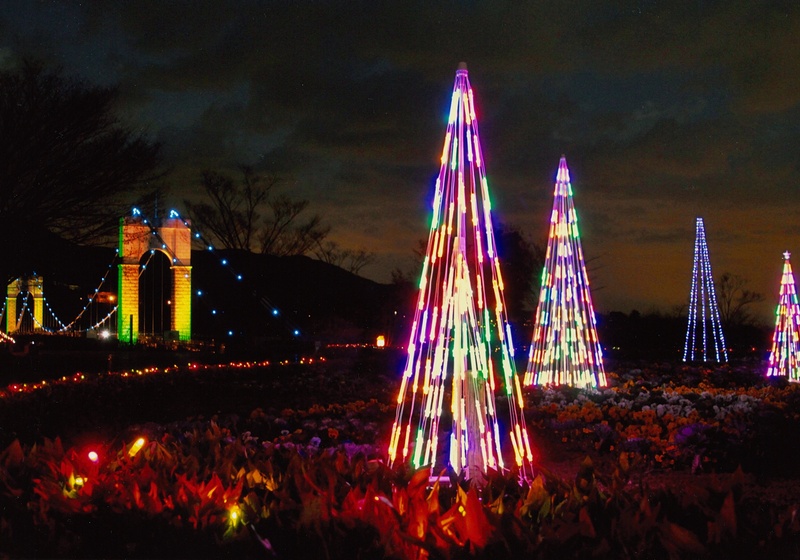 秦野戸川公園でライトアップ&イルミネーションやってるよ_c0171849_17145923.jpg