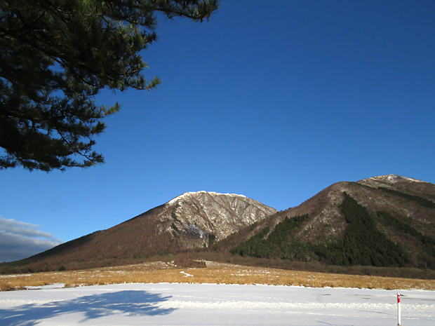 f0214649_547482.jpg
