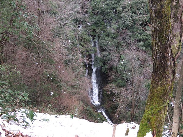 f0214649_555761.jpg