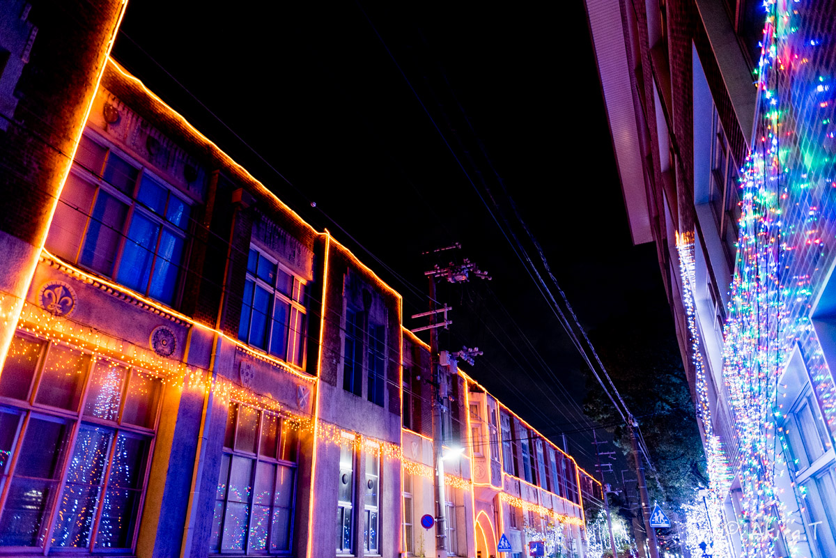 f0152550_2332552.jpg