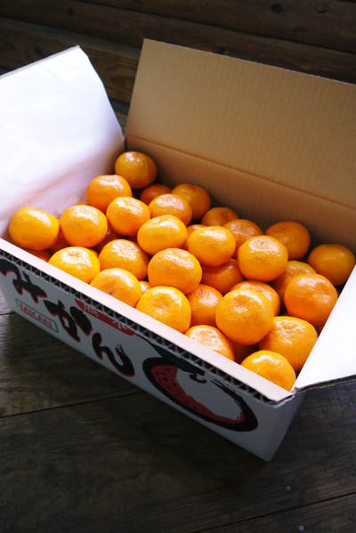 ザ・みかん 大好評につき、12月29日(火)出荷を追加しました!!年内にお届けできます!_a0254656_1932973.jpg
