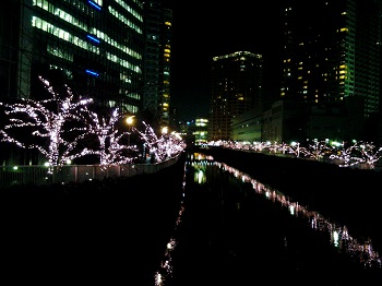 冬の桜_a0061057_23191795.jpg