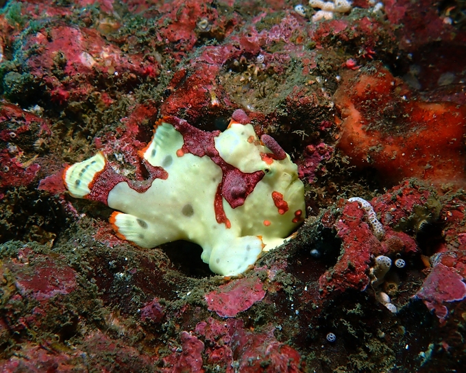 三浦半島2015⑰_b0287468_1145077.jpg