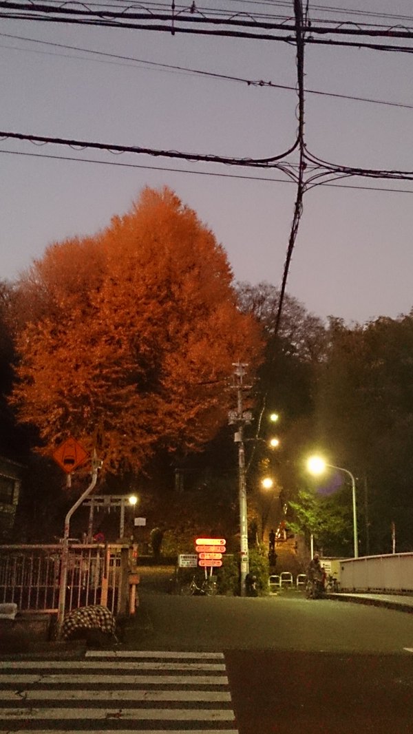 c0002171_20214484.jpg