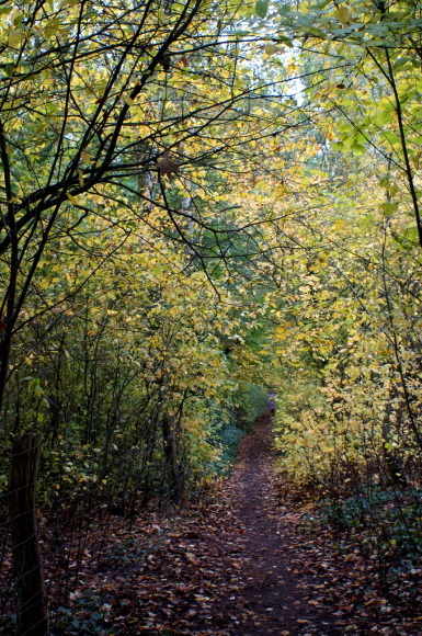 c0180686_22400615.jpg