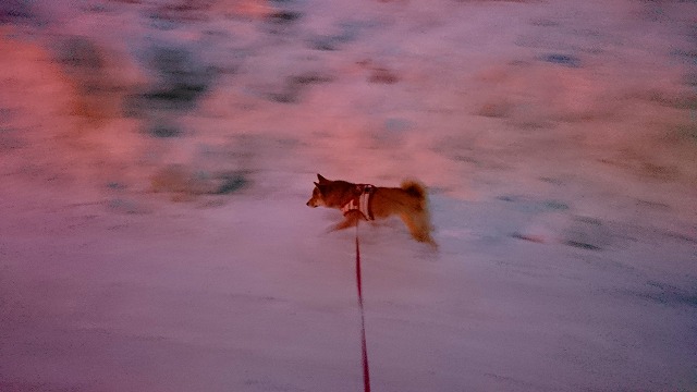 c0219786_1824343.jpg