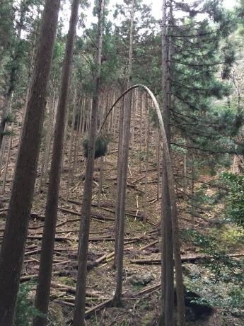 f0314690_16334760.jpeg