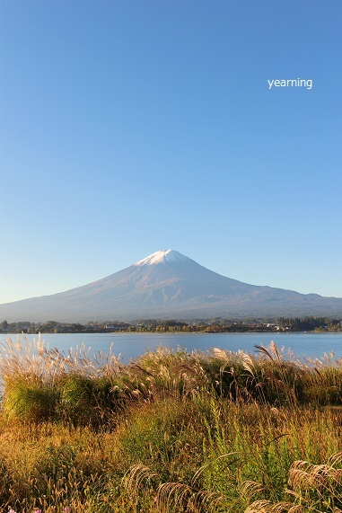 冬はじめの富士山_c0265895_03410065.jpg