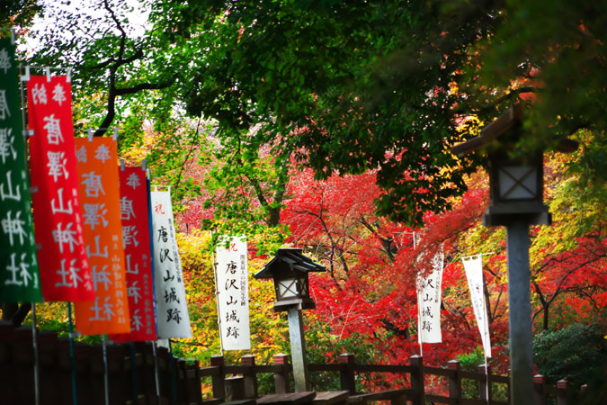 a0263109_1241469.jpg