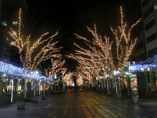 クリスマス前の華やいだ静岡の街を歩くと_f0141310_744630.jpg