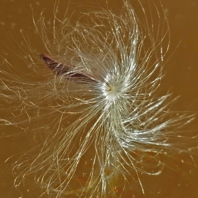 c0190915_143431.jpg
