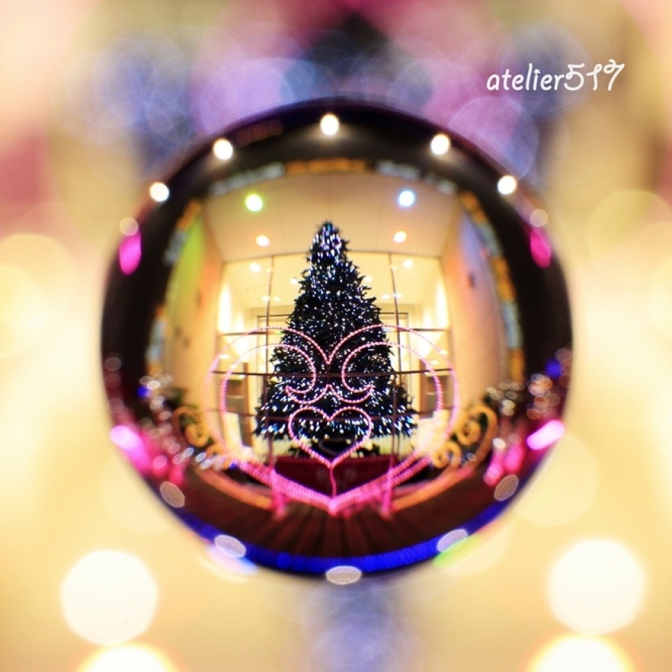 ＊　クリスマスまで…　＊ - 心写心癒  ~心の鏡~