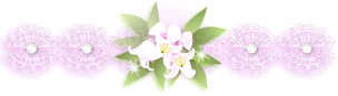d0068023_16373312.gif