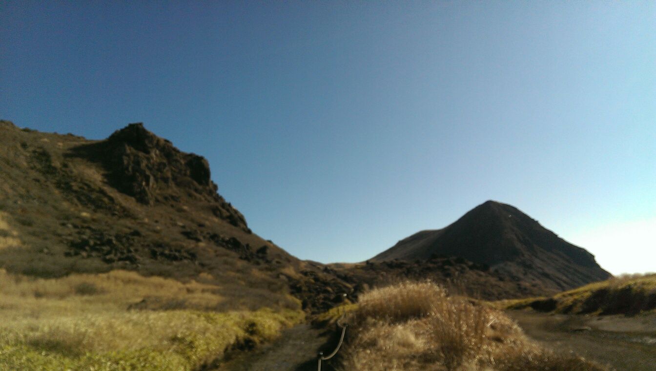 a0220528_21252343.jpg