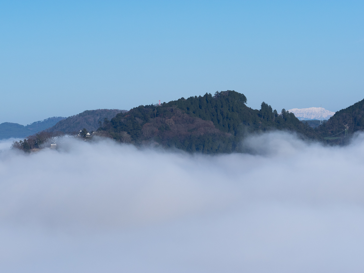 霧に浮かぶ山城_b0316339_06265691.jpg