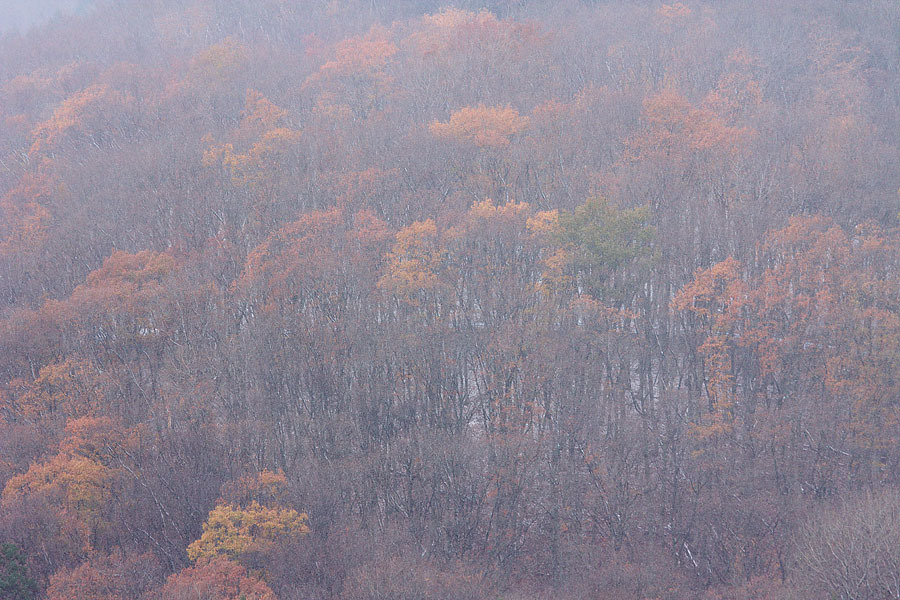 c0067040_20344985.jpg