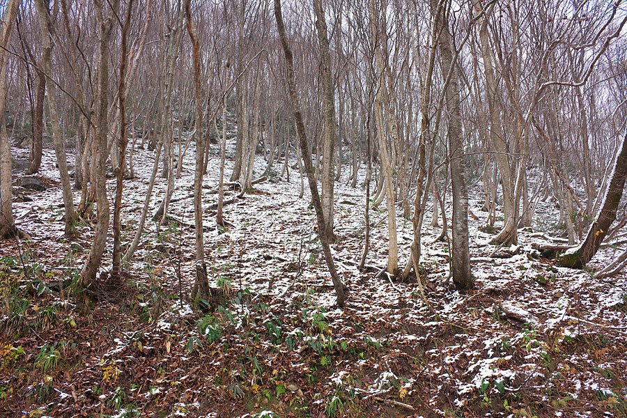 c0067040_20345977.jpg