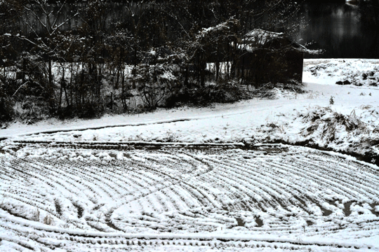 c0093046_6403287.gif
