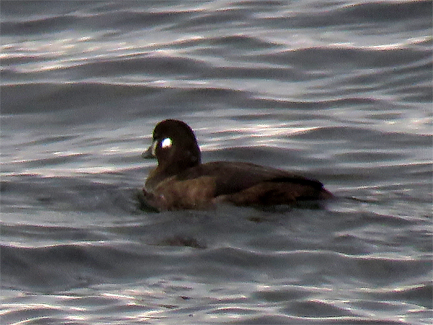 f0214649_10522536.jpg