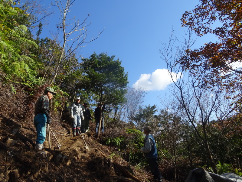 北尾根新山道作り第12日目　＆　忘年会準備　in　孝子の森_c0108460_21340253.jpg