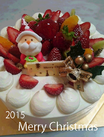 ~Merry Christmas~_d0110462_19502760.jpg