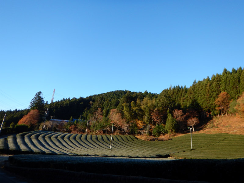 b0141264_2347851.jpg