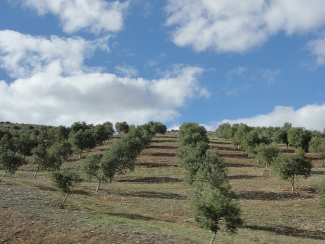b0116765_22111439.jpg