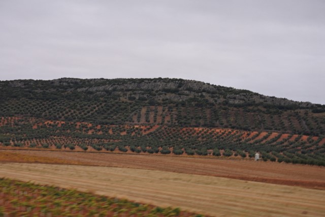 b0116765_22115216.jpg