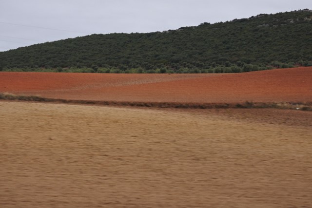 b0116765_22122472.jpg