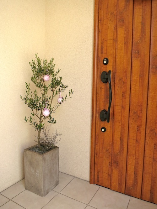 ☆それぞれのクリスマス☆(植物編)_f0324766_16030916.jpg