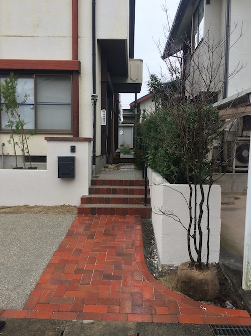 ☆それぞれのクリスマス☆(植物編)_f0324766_16191207.jpg