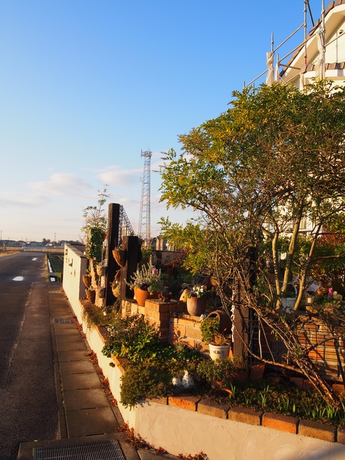 b0194267_15533510.jpg