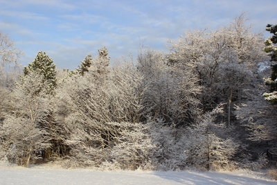 つかの間の雪景色_c0353373_22415743.jpg