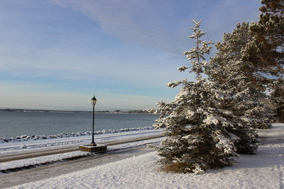 c0353373_22420733.jpg