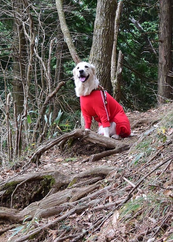 今年最後の山（その１）_b0136381_1421154.jpg