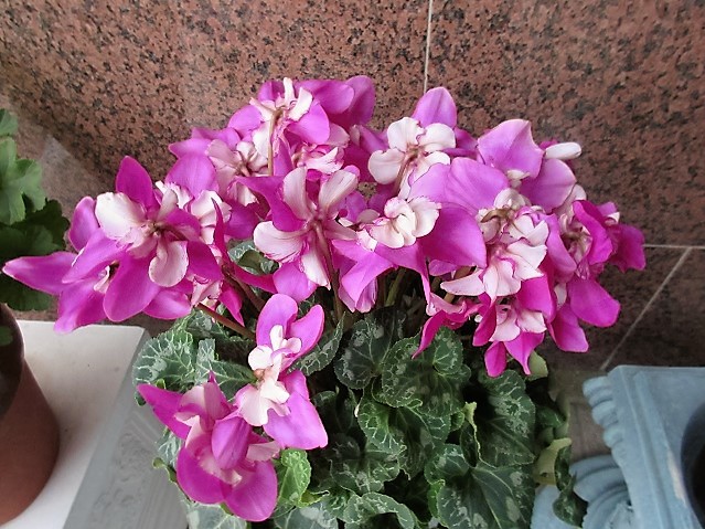 b0182884_354674.jpg