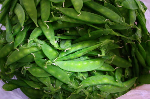 三宅の野菜_c0204385_19223118.jpg
