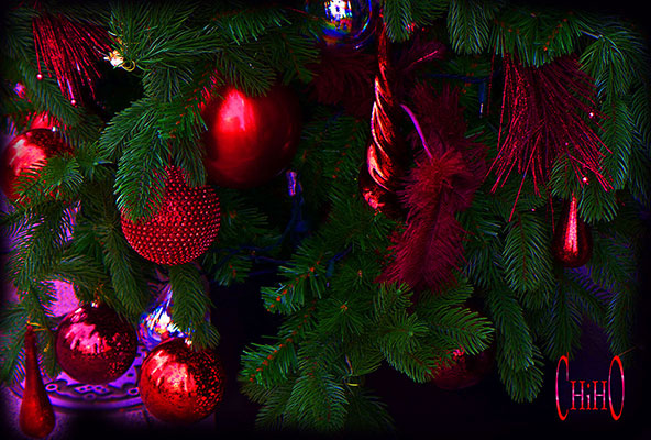 e0157891_16112013.jpg