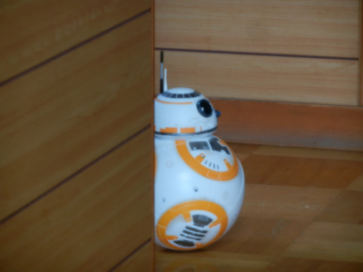 BB-8と那奈_e0204795_17482158.jpg