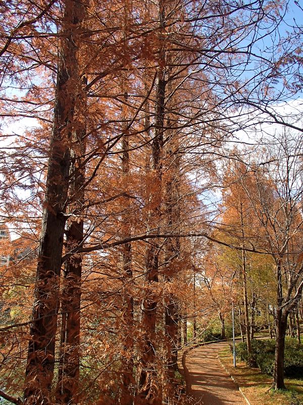 c0015099_15363265.jpg