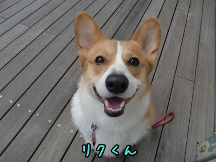 a0338800_10444080.jpg