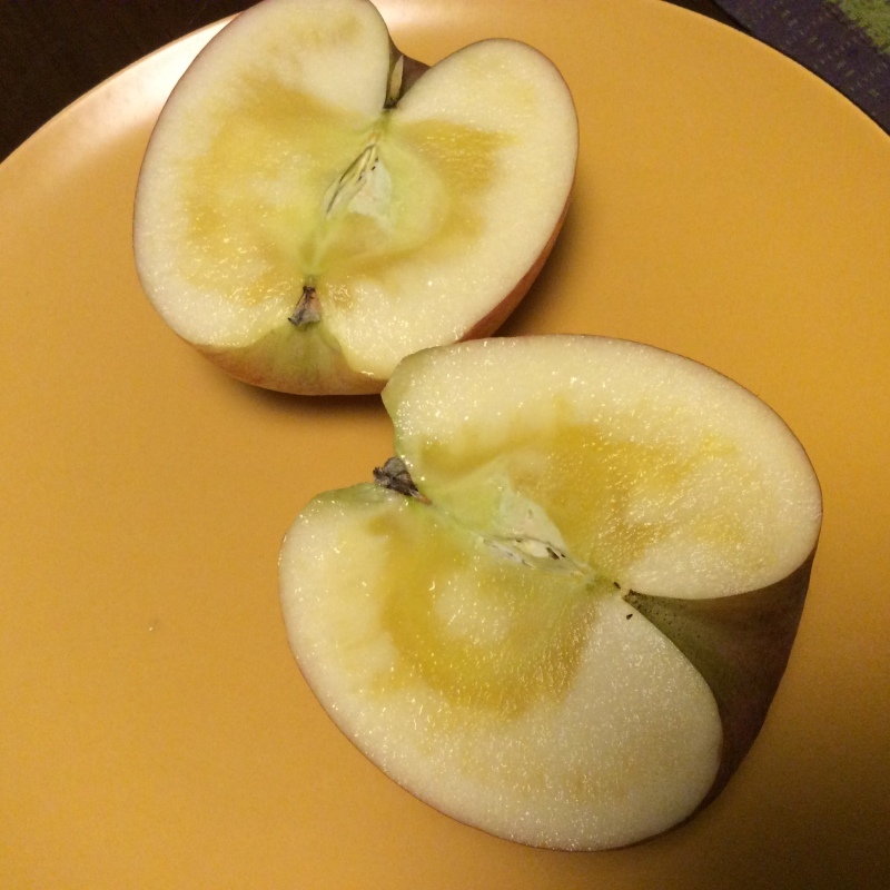 b0220002_00253898.jpeg